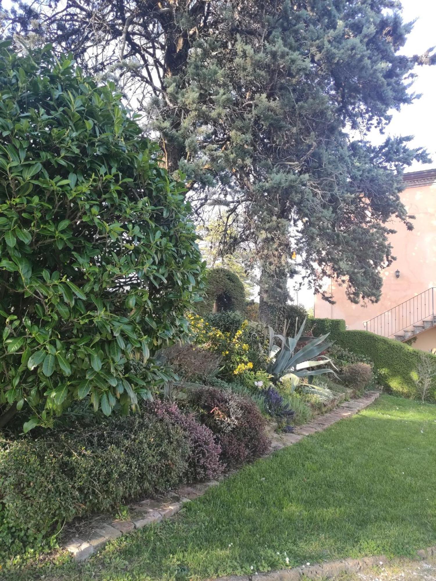 Bed and Breakfast La Pergola Becedasco Esterno foto